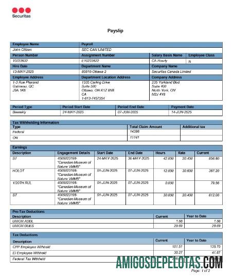 Em branco Modelo Word e PDF de recibo de pagamento on-line do Canadá